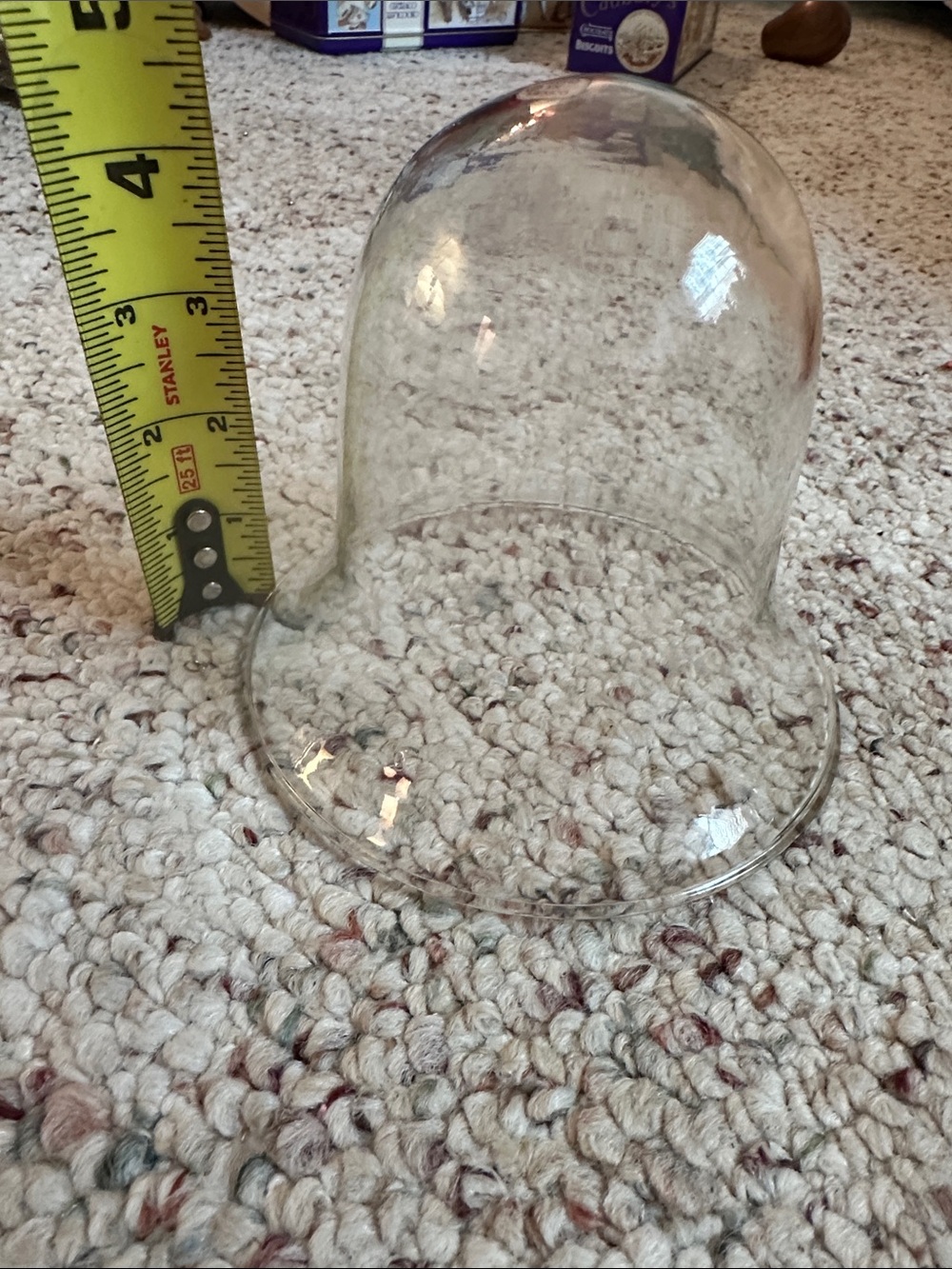 Clear Glass Display Dome - Transparent Bell Cloche- made in Mexico